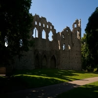 Ljubomorna zidna ludost, županija Westmeath, Irska plakata Ispis