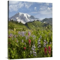 Global Galerija in. Raidise Meadow & Mount Rainier, Nacionalni park Rainier, Vašington Art Print - Tim