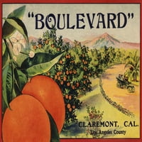 FL OZ Keramička krigla, BOULEVARD Brend, Claremont, California, Citrus naljepnica, perilica posuđa i