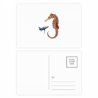 Veličina kontrasta Hipokampalna kitova Postcard Set Rođendanska poštanska pošta hvala čestitka