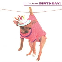 Dizajnerski pozdrav Chihuahua u ružičastoj džemper na liniji za odjeću s smiješnim šaljivim šaljivim