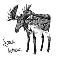 Stowe, Vermont, lose i planine, dvostruka izloženost