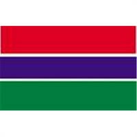 Annin Flagmakers Ft. Ft. Lyl-glo Gambia Flag