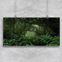 Tunel u džungli --image by shutterstock