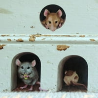 Ukrajine za domu minijaturni rupa miša naljepnica naljepnica u jedinstvenom naljepnici unutarnji i vanjski