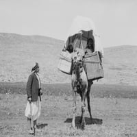 Putnici sa bliskim istokom. Na grupi muškaraca koji putuju kamilom na Bliskom Istoku. Fotografija, početkom 20. veka. Poster Print by