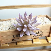 Opejse umjetni sočni postrojenje DIY cvijet Bonsai Početna Office Decre Decre Decor 9 #