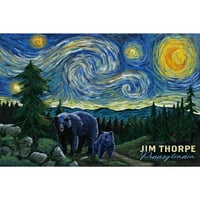 Dekorativni čaj ručnik, pregača Jim Thorpe, Pennsylvania, Zvjezdana noć, medvjeđe i mladunče, uniseks, podesiv, organski pamuk