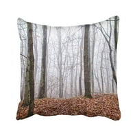 Zelena kora jesenska breza šuma u maglu Landscape Siluette Trunk tamno tamno tamno jastučni jastuk jastuk