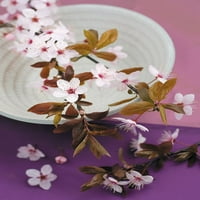 Sastav Zen - Branke de Prunus sur Coupe Poster Print Chetherine Beyler R4275