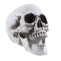 Lifeine veličine ljudski lobanji model Halloween Decor skelent lolly realistična ljudska puboljna glava lobanje kostiju model grobljeg grobyard vanjski dekor