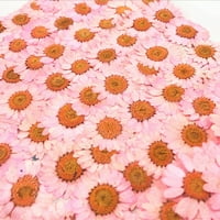 Yoone prešani sušeni prirodni cvijet Epoksidna smola zanata za zanat DIY DIY ukras