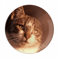 Životinjska sentimentalna mačka simpol ploča s pucanjem ukrasna posuda za pribor za večeru