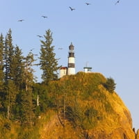 Ptice u letu preko svjetionika za razočaranje rta; Ilwaco, Washington, Sjedinjene Američke Države Poster
