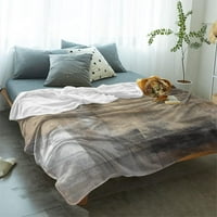 Nosbei super meko bacanje pokrivač flanela fleese lagani krevet za krevet Sva sezona Upotrijebite smeđe i sivo apstraktno slikanje