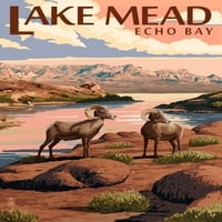 Jezero Mead, Echo Bay, bighorn ovce