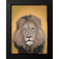 Prime, Marcus Black Moderna uokvirena muzejska umjetnost Print pod nazivom - lav u misli 2