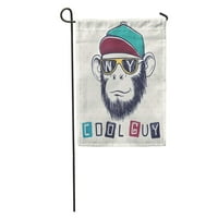 Cool Monkey Chimpanzee obučena u sunčane naočale i inicijali kapa grada New York Garden zastava Dekorativna