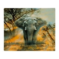 Cafepress - Sloni za sunčanje, pokrivač za meko runo, prekrivač 50 X60 pokrivač