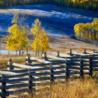 Colorado-San Juan MTS ograda i aspens sa svježim snijegom u padu Julieja