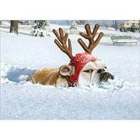 Reindeer Bo s smiješne šaljive božićne čestitke za pse