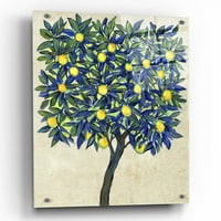 Epic Art 'Limun Tree Sastav II' Tim O'Toole, akrilna staklena zidna umjetnost, 24 x36
