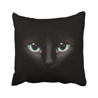 Plave Cheshire Oči siameske mačke u tami crno tamne noćni objekti Patlantivni pasmina jastučnica