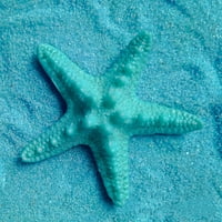 Darfi Resin Starfish Ornament Beach Ocean Sea Star Domaća zidna zabava