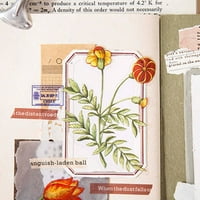 Naljepnice za cvijeće Prozirna torba Prozirna ScrapPooking Cvijeća naljepnica Podeljava se otporna na suze za časopise