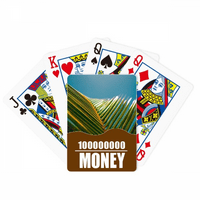 Priroda Blue Sky Photography Poker igračka karta Smiješna igra