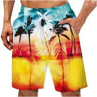 Qolati plivajuće trunke za muškarce Casual Hawaii Print Platch Shorts Summer Brzi suhi lopovi za sušenje Swim Shorts