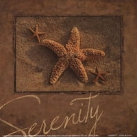 Serenity - Starfish Fini Art Poster Print