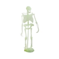 Kayannuo Povratak na školsko čišćenje Noktilucentno dinosaur Human skelet Model Model Model Bones Bones Božićni pokloni