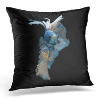 Šareno djelovanje uhvatljivog momenta pomicanja plave sijamske borbene ribe crne betta bijeli agresivni jastuk jastučni poklopac jastuka