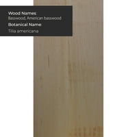 Premium basswood električni bas gitarski drva za drvo prazno 21 15 2 - oslobodite svoju kreativnost sa visokokvalitetnim drvenim prazninama