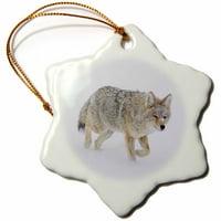 Coyote u zimskom snježnom pahuljicu Porcelamen ORN-231966-1