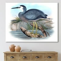 Art DesimanArt Vintage Australian Birds II Tradicionalna platna zidna umjetnost otisak u.