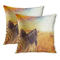 Zebras na suncu Safari South Savanna S Serengeti Wildlife Adventure jastučni jastučni jastuk set od