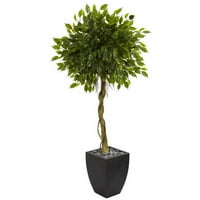 5,5 'Ficus umjetno stablo u crnom pranje Planter UV rezistentno