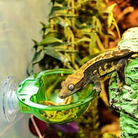 Reptil Feeder sa usisnim čašicom Lizard zid viseći ulagač Anti-Escape Bowl