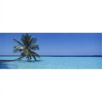 Panoramske slike Palm Tree u moru Maldivi Poster Print panoramskim slikama - 12
