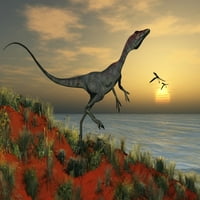mesoždernog kompsonathusa dinosaurus iz postera za poster JurAssic