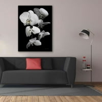 Epic Graffiti 'White Orchide III' Elise Catterall, Giclee Platnena zidna umjetnost, 40 x54