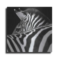 Luxe Metal Art 'Zebra III' od Debra Van Swearingen, metalna zidna umjetnost, 36 x36