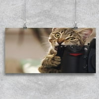 Smiješna mačka sa kamerom. Poster -image by shutterstock