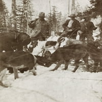 Predsjednik Theodore Roosevelt stoji preko velike ubijene istorije medvjeda