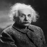Albert Einstein. Fotografija Orren Jack Turner History