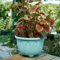 Kaola Flower Pot lijepog izgleda modne lagane plastične plastične plastične posude za biljne posude sa pladanjom za dom