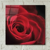 Epic Art 'The Red Rose I' Lori Deiter, akril staklena zida Art, 12 x12