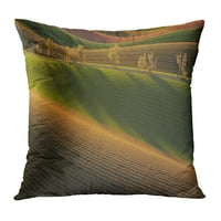 Zeleni apstraktni 3D prikazivanje polja u zoru Narančasta Poljoprivreda Bale bale baleni jastučni jastučni jastuk